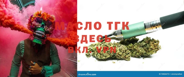 эйфоретик Гусь-Хрустальный