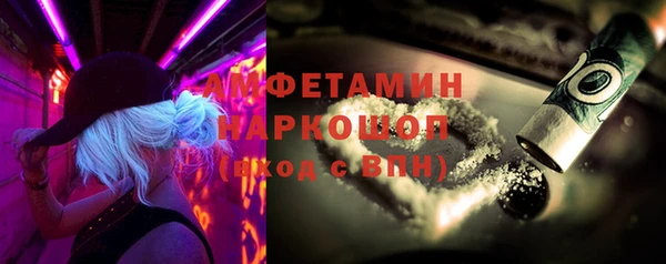 эйфоретик Гусь-Хрустальный