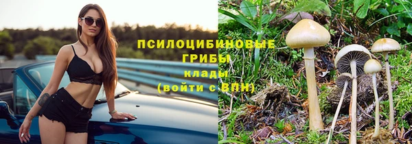 прущие крисы Гусев