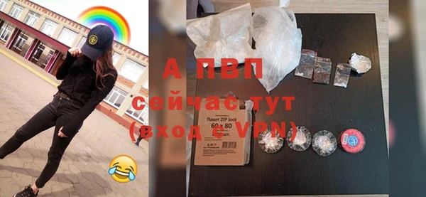 прущие крисы Гусев