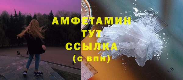 эйфоретик Гусь-Хрустальный