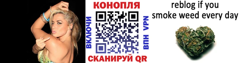 наркотики  Дальнегорск  Каннабис планчик 